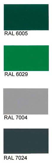 RAL cvet 4